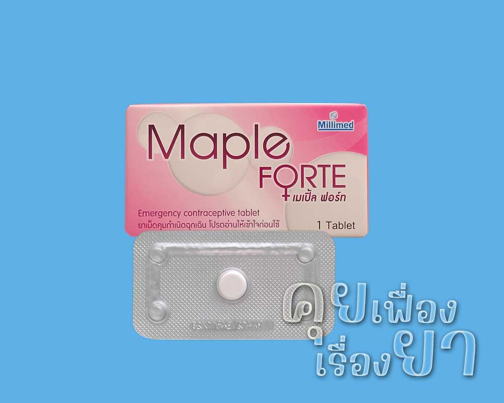 เมเปิ้ล ฟอร์ท