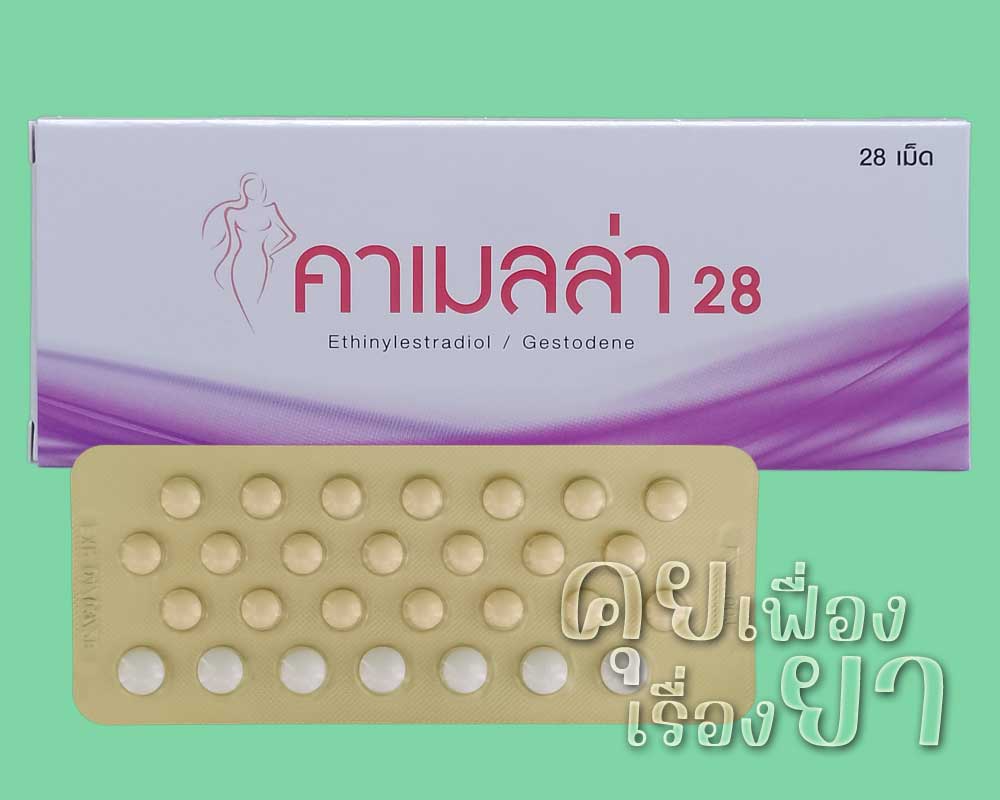 คาเมลล่า 28 โฉมใหม่