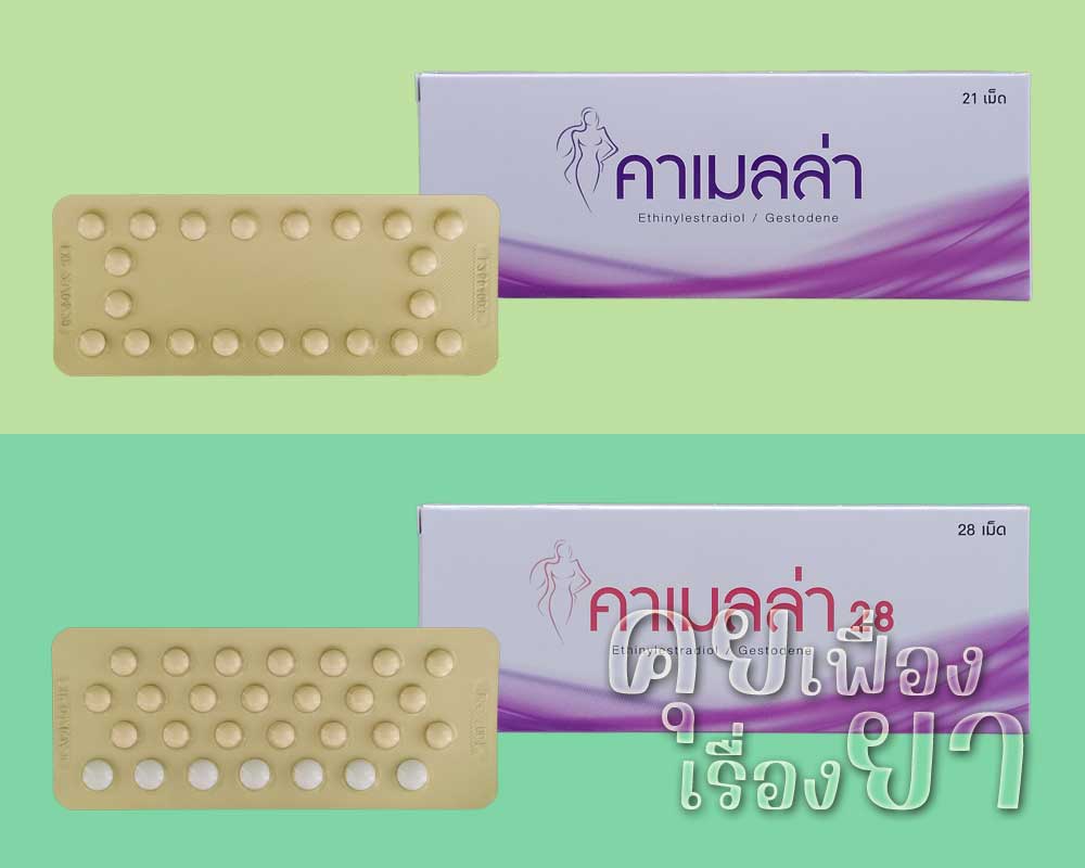 คาเมลล่า (Camella) – คาเมลล่า 28 (Camella 28) คาเมลล่า และ คาเมลล่า 28 โฉมใหม่