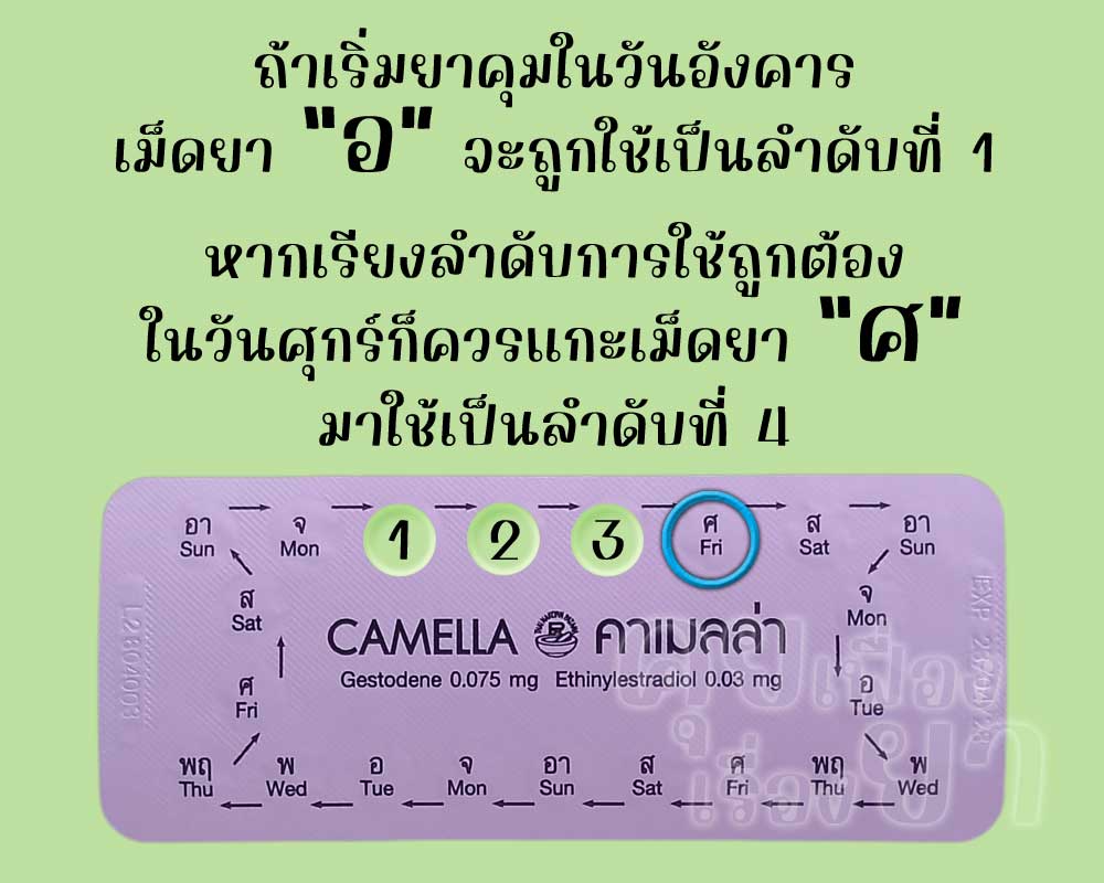 หากเริ่ม คาเมลล่า วันอังคาร ลำดับที่ 4 ควรตรงกับวันศุกร์