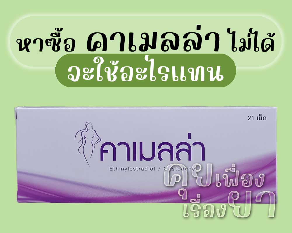 หาซื้อ คาเมลล่า ไม่ได้ จะใช้อะไรแทน